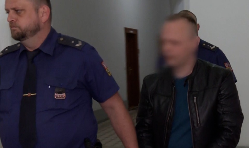 Tvrdil, že si vymyslela tehotenstvo a nútila ho k sexu. Súd ho napriek tomu uznal vinným z vraždy